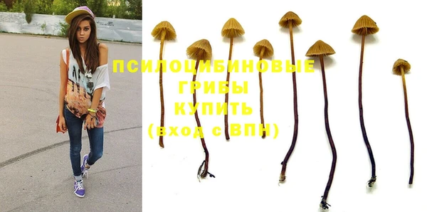 метадон Беломорск