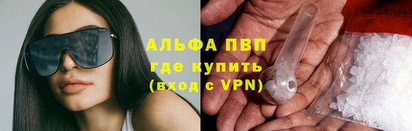 a pvp Белокуриха